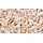 Bellamoli Granulati Splitt Rosa Corallo 7 - 15 mm 25 kg Rosa