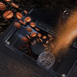 Acopino Barletta rot