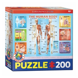 EUROGRAPHICS Puzzle Der menschliche Körper, 200 Puzzleteile bunt