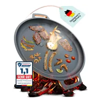 Drei Eichen Feuerplatte aus Gusseisen mit Tropfschutz. Ø35cm. Grillplatte Plancha ideal für Raketenofen u.v.m. Outdoor BBQ-Platte mit Tragegriff. Grill Zubehör. Gusseisenpfanne. Stärke 5mm Loch Ø4cm