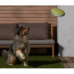 Tchibo - Hunde-Wurfscheibe - schwarz