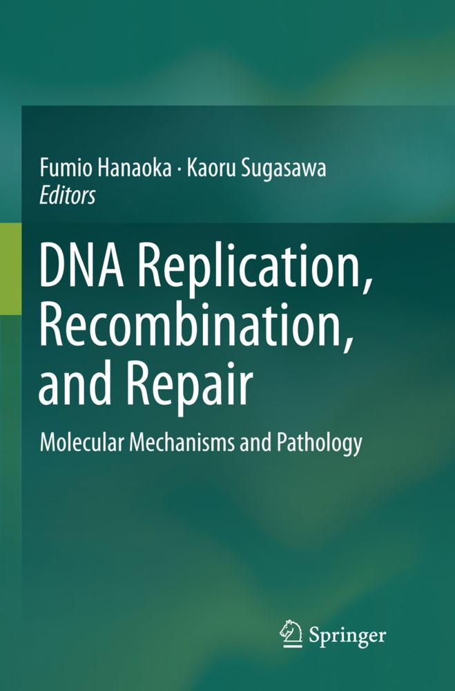 Dna Replication  Recombination  And Repair  Kartoniert (TB)