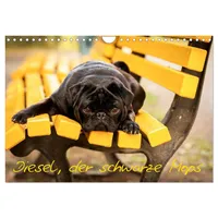 Calvendo Diesel, der schwarze Mops (Wandkalender 2026 DIN A4