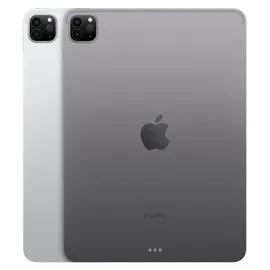 Apple iPad Pro 11" (4. Generation 2022) 256 GB Wi-Fi space grau