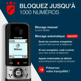 Alcatel F890 Voice