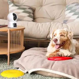 ARENTI P3TT 3 MP WLAN Weiß