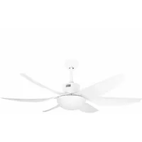 Orbegozo CP 100138