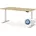 ASSMANN Elektrisch Höhenverstellbarer Familien Schreibtisch Pitino Weiß 120x80cm Memoryfunktion Kollisionsschutz 2-fach-Motorik Braun