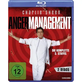 Anger Management - Staffel 3 [Blu-ray]