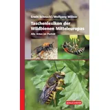 Quelle + Meyer Taschenlexikon der Wildbienen Mitteleuropas