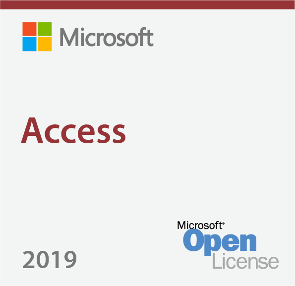 Microsoft Access 2019