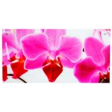 Mendler Glasbild T115, Wandbild Poster Motiv, 50x100cm Orchidee