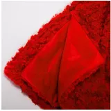 CELINATEX Flauschige Kuscheldecke 150 x 200 cm rot Luxus Wendedecke Sofadecke Plüsch Nicki Mikrofaser Fleece Wohndecke, Geschenk für Frauen, warm - Oeko-TEX Florenza