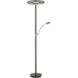 Hell MONTI LED Stehleuchte 2-flammig mit Dimmer und CCT, 60473/2-15,