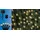 Trendline LED-Lichterkette Solar 9,6 m warmweiß
