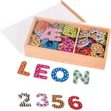 GoKi Magnet-Alphabet und Zahlen II Holz 5,5 cm 88 Teile im Holzkasten