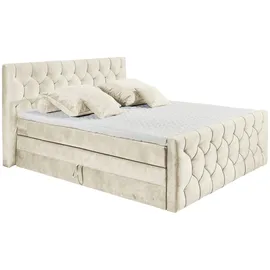 ed exciting design Boxspringbett Cashfield ¦ creme ¦ Maße (cm): B: 200 H: 113