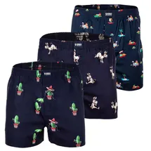 Happy Shorts Webboxershorts Poolparty/Donkeys/Mexican Cactus XL 3er Pack