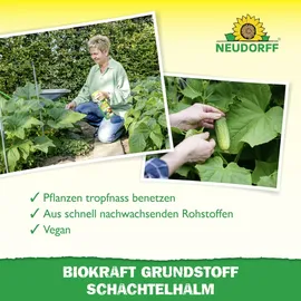 NEUDORFF BioKraft Grundstoff Schachtelhalm AF Spray 500 ml