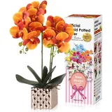 RERXN Seidenorchideen, die echt aussehen, künstliche Orchideen mit Blumentöpfen, hohe künstliche Orchideen mit Stielen, Innendekoration, Tischdekoration (Orange 01)