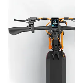 Joyor E-Scooter S10-S 1000*2 W Dual Drive 60 km/h 18Ah offroad Elektroroller - Schwarz