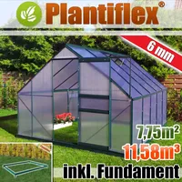 Aluminium Gewächshaus 250x310 cm - 7,75 m2 mit Fundament - 6mm Verglasung, grün, Garten Pflanzenhaus 11,58m3 Alu Treibhaus Tomatenhaus