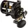 Penn Fathom II Level Wind Multirollen, Black Gold