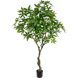 CREATIV green künstliche Pflanze Glückskastanie (Pachira aquatica), ca 220cm