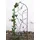DanDiBo Ambiente Rankhilfe JD2-12025 147 x 41 cm Braun