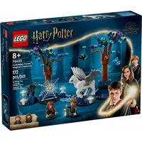 76432 - LEGO Harry Potter - Verbotener Wald: Magische Kreaturen - Bunt