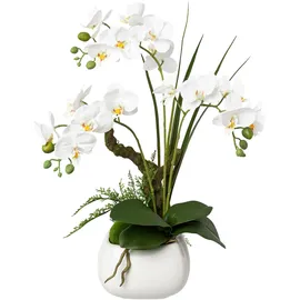 Creativ green Kunstorchidee CREATIV GREEN "Deko-Orchidee Phalaenopsis im Keramiktopf", weiß, B:20cm H:46cm L:20cm, Obermaterial: 95% Polyethylen, 5% Polyester, Kunstpflanzen