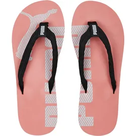 Puma Epic Flip V2 Platium Gray