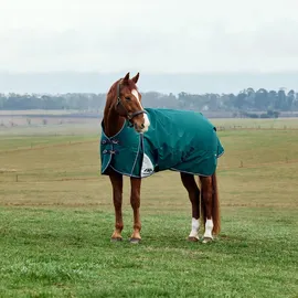 Weatherbeeta Comfitec Plus Dynamic Turnout High Neck 220g, 150