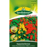 Quedlinburger Zwerg-Kapuzinerkresse ''Prachtmischung''