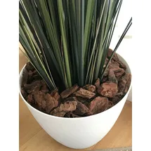 Frux Dekor-Pinie grob (25-40 mm) 60 L