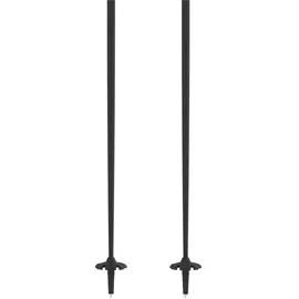 Atomic Salomon Unisex-Adult Amt Alpine Poles, Schwarz, 120 EU