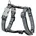 Red Dingo Red Dingo 46-76 Schwarz