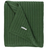 TOM TAILOR »Knitted«, grün