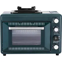 Vevor Outdoor Ofen 2 in 1 grün