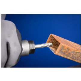 Pferd Frässtifteset 6 mm 10-tlg. 22900813