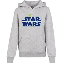 Mister Tee Hoodie Grey 122