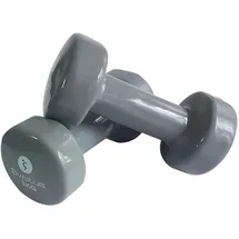 Sveltus Fausthanteln 3 kg Hanteln grau