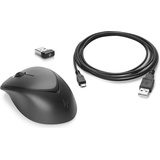 HP Premium Wireless Mouse (1JR31AA#AC3)