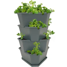 Gusta Garden Paul Potato 56 L anthrazit