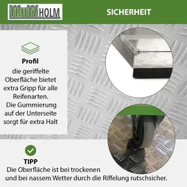 Trutzholm Türschwellenrampe ca. 10 cm Höhe Traglast 250 kg Aluminium grau Stufenrampe