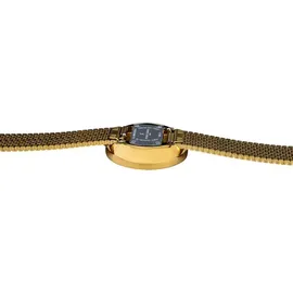 Pierre Cardin Marais Mirror Edelstahl 32 mm CMA.0009