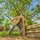 Gardena Astschere EasyCut L 67 cm