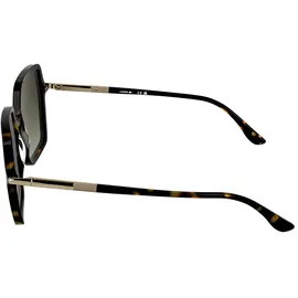 Lacoste L6079S 230 dark havana - Light Brown/CAT2