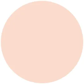 Essence Mattifying Compact Powder 04 perfect beige