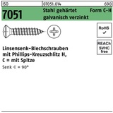 Reyher Blechschraube ISO 7051 LISEKO Spitze/PH 4,8x 25 -C-H Stahl geh.galv.verz. 500St.